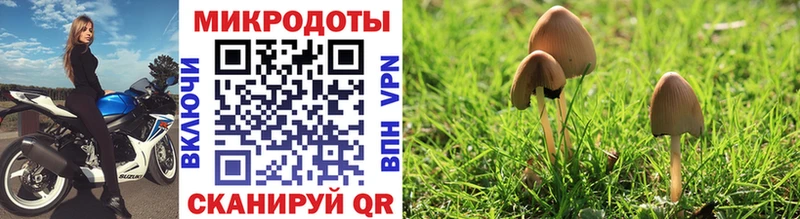 Купить где Абинск Псилоцибиновые грибы MAGIC MUSHROOMS